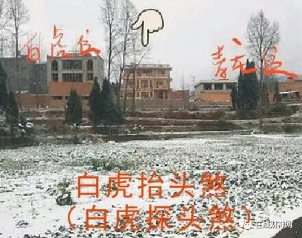 �й�̫����ͼ���ˮʮ��ɷ������ǰ׻�̽ͷɷ���׻�̧ͷɷ��