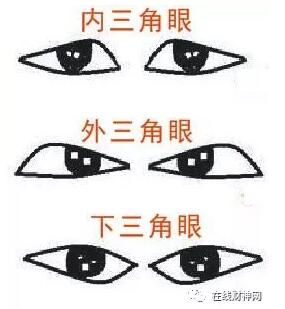 ͣ©ơżĻת˷