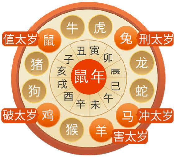 2020ļФ̫̫꣬λ⣿그̫Фʲôתˣ