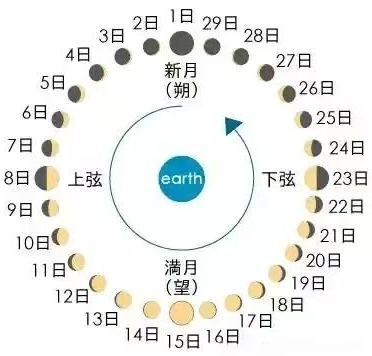 Ϊʲô����û������ʮ�����꿪ʼ��������û�д�����ʮ����˷�������ޡ��ҡ�������仯���ھ���ũ�������û������ʮ